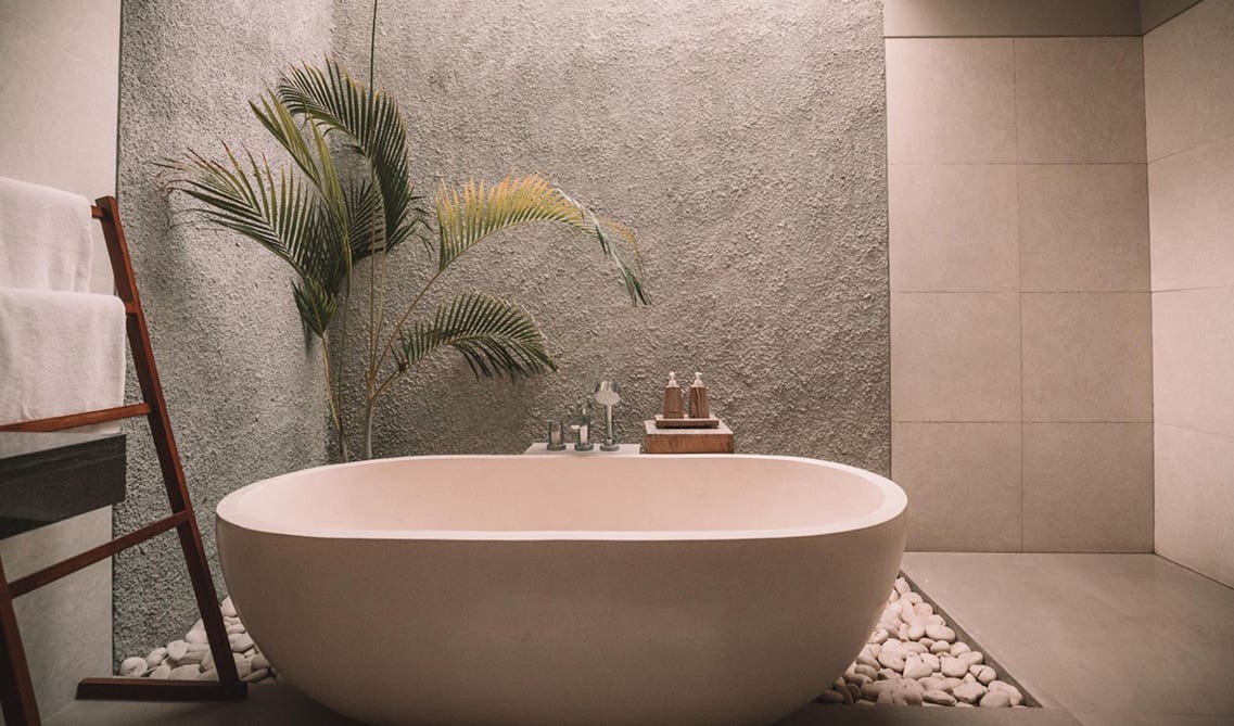 Big ceramic bathtub with tall floor plant